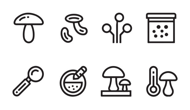 Scientific study of mushroom cultivation featuring laboratory tools and petri dishes.
