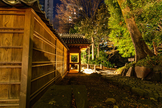 Night view of an illuminated wooden wall and a large tree along the path at Koishikawa Korakuen January 2024