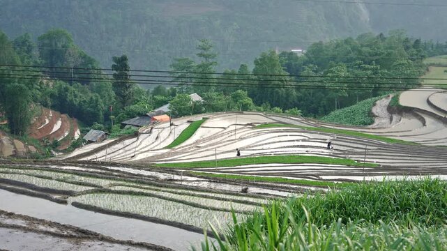 Terraced rice fields and mountain farms in Sa Pa Lao Cai Vietnam