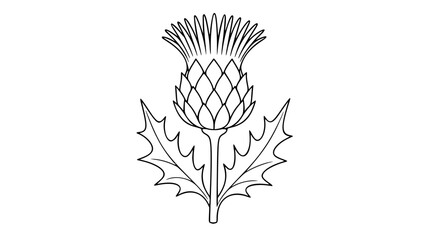 Detailed thistle flower vector illustration featuring sharp spiky leaves and a textured bloom, clean black line art style on a white background, ideal for botanical designs and nature-themed projects. © MdKHALILUR
