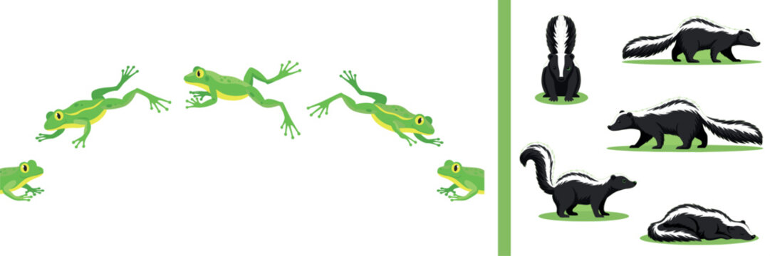Green Frog Jumping Sequence Animation Steps and Black Skunk Animals in Various Poses Vector Illustration Set for Wildlife Nature Design