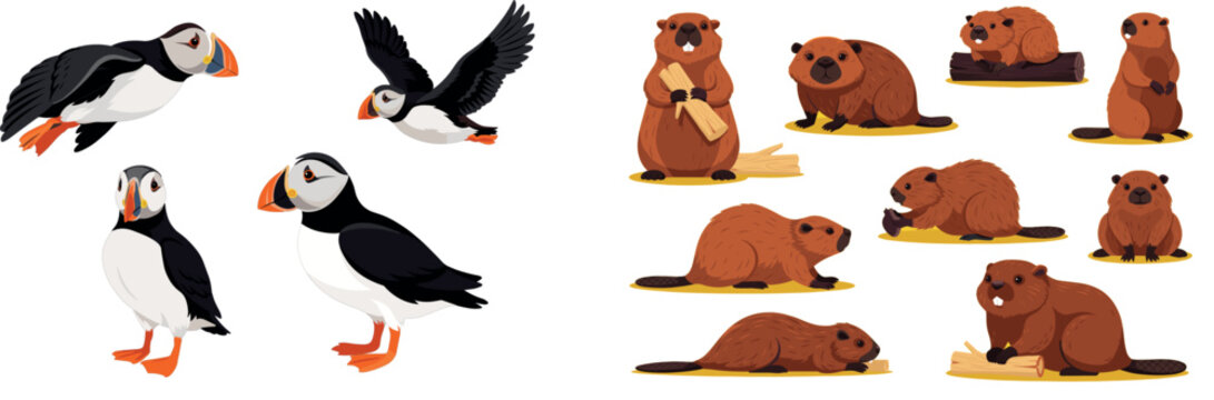 Set of Puffin Birds and Cute Cartoon Beaver Animals in Various Poses Vector Illustration Collection for Wildlife and Nature Design