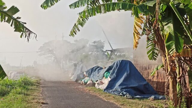 Dense smoke rising from the traditional production of coconut shell charcoal, illustrating the carbonization process, biomass fuel production, and small-scale manufacturing in a rural environment.