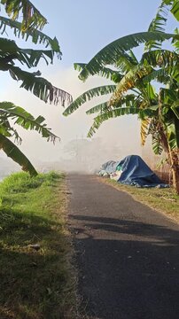 Dense smoke rising from the traditional production of coconut shell charcoal, illustrating the carbonization process, biomass fuel production, and small-scale manufacturing in a rural environment.