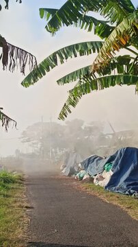 Dense smoke rising from the traditional production of coconut shell charcoal, illustrating the carbonization process, biomass fuel production, and small-scale manufacturing in a rural environment.