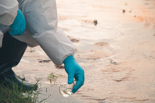 Scientist examining water samples in a laboratory to ensure safety.