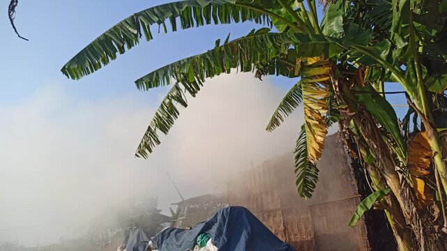 Dense smoke rising from the traditional production of coconut shell charcoal, illustrating the carbonization process, biomass fuel production, and small-scale manufacturing in a rural environment.