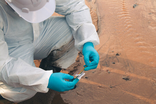 Experts conduct water quality checks and analyze the results on assessment strips.