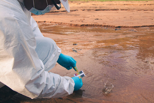 Experts conduct water quality checks and analyze the results on assessment strips.