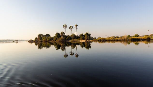 palm trees at sunrise on the Zambezi River, Zimbabwe, Africa