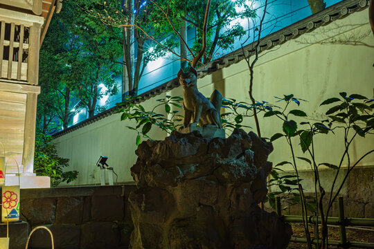 Close-up of the illuminated stone fox statue on the right side of the Shinto shrine at Koishikawa Korakuen at night January 2024