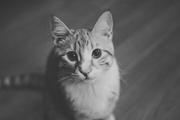 Processed with VSCO with b5 preset © marenolivia