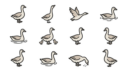 Industrial Minimalist Line Drawing Set of Geese in Various Poses and Scenarios with high quality professional line art symbols for modern creative design and digital branding projects © Gita