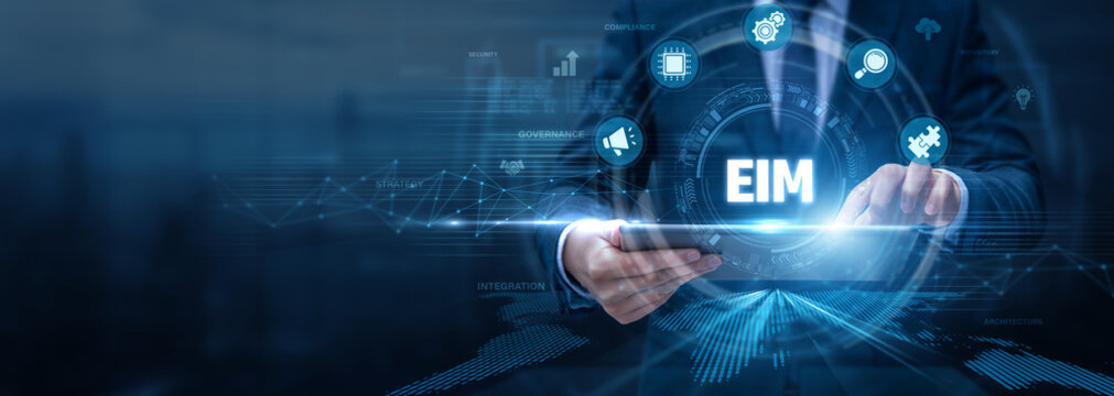 Information Manager Analysing Enterprise Information Management Using Tablet and Networking Data, data governance, information systems, digital transformation, business intelligence integration