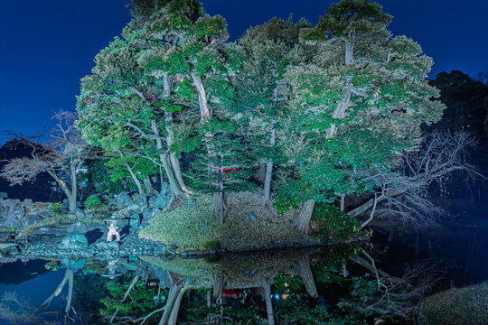 Close-up of illuminated trees of Horaijima Island reflected vividly on the pond at Koishikawa Korakuen January 2024