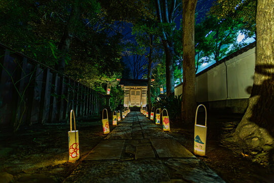 Low-angle view of a stone path lined with patterned paper lanterns leading to Fukusho Inari Shrine at Koishikawa Korakuen January 2024