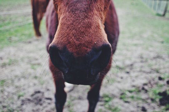 Processed with VSCO with f2 preset