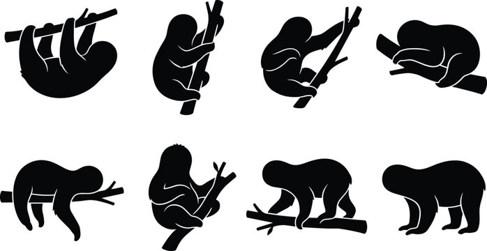 Sloth Silhouette Collection Set with Tree Climbing and Resting Wildlife Vector Illustrations