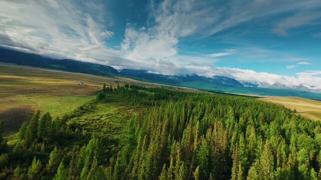 Aerial fpv view of dense pine forest sweeping across mountain valley to rolling plains and meadow with gentle tilt Chuysky tract Altai, Siberia, Russia.