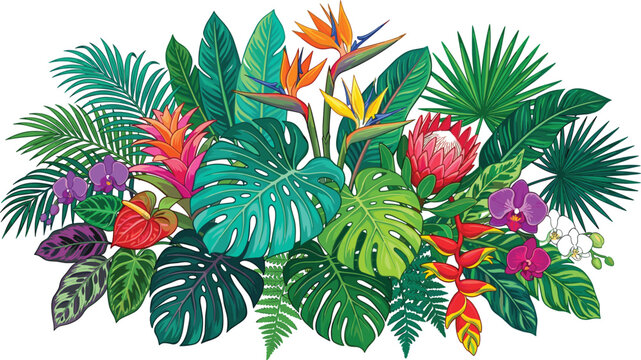 Vibrant Tropical Floral Arrangement Vector Featuring Exotic Flowers Bird of Paradise Monstera Palm Leaves and Orchids for Summer Designs