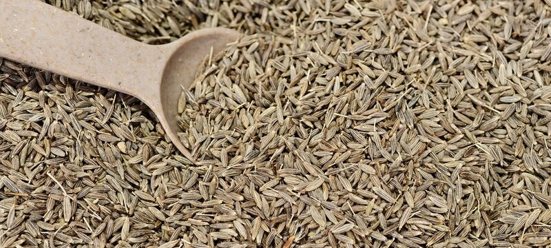 Detailed macro view of cumin seeds.The elongated, ridged seeds display rich brown tones and intricate texture. Ideal for culinary, spice trade, and aromatic seasoning themes.