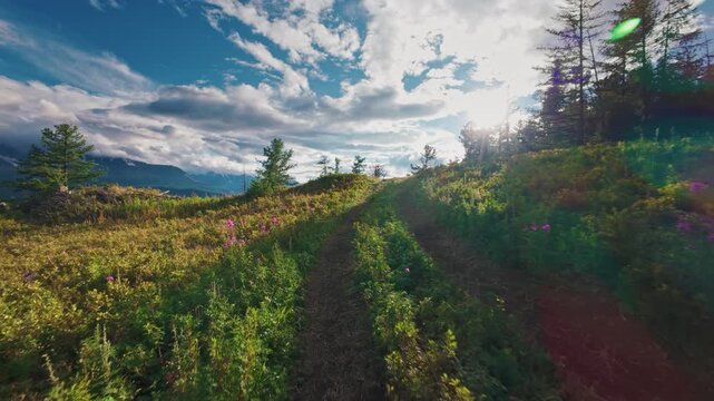 Fpv drone view mountain ridge trail with wildflowers overlooking winding river valley Chuysky tract Altai, Siberia, Russia.