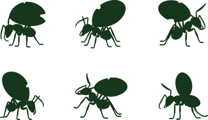 Dark green ant insect silhouettes carrying leaf fragments and working diligently in various poses on white © Shahin Stock
