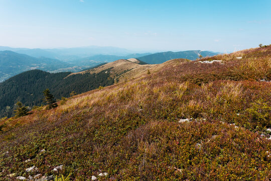 beautiful Carpathian landscape