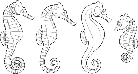 Seahorse Line Art Illustration Collection with Marine Wildlife Outline Vector Set for Ocean Design © SreeMoti