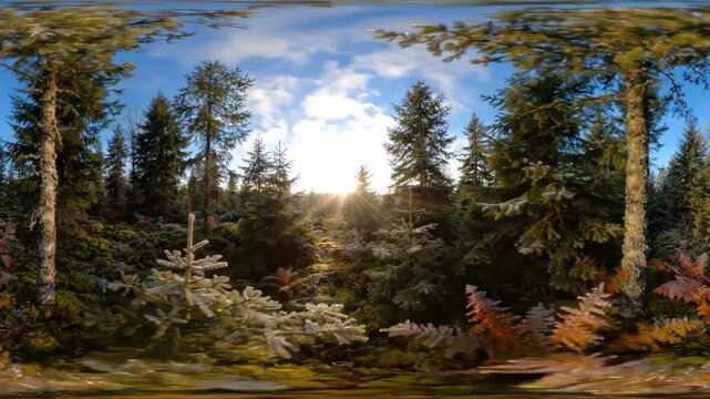 Sunlight streaming through frozen pine forest, morning frost covering mossy woodland ground. Panoramic nature scene with soft sun flares, illuminating icy foliage and tall coniferous trees.