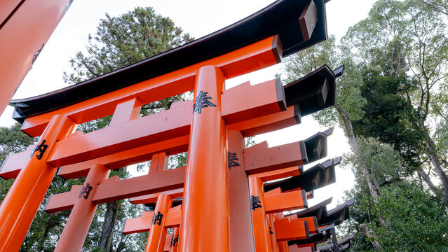 Fushimi Inari-Taisha's iconic torii gates in Kyoto