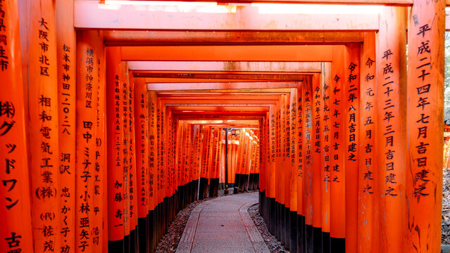 Iconic torii gates at Fushimi Inari-Taisha, Kyoto