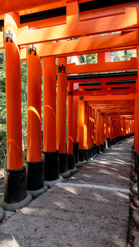 Iconic torii gates of Fushimi Inari-Taisha in Kyoto