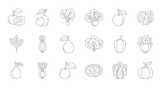 Variety of Fresh Fruit Illustrations.