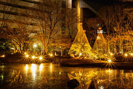 Closer night view of two illuminated Yukitsuri and golden reflections on the pond surface at Koishikawa Korakuen January 2024