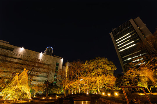 Looking up at illuminated Yukitsuri and towering skyscrapers under the winter night sky at Koishikawa Korakuen January 2024