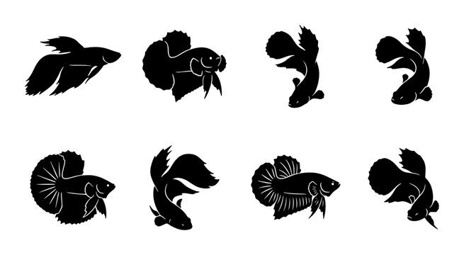 Betta Fish Silhouettes, Siamese Fighting Fish Icons, Aquatic Animal Vector Graphics, Pet Collection