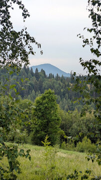 beautiful Carpathian landscape