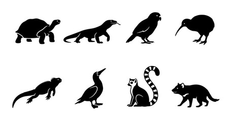 70 Exotic animal silhouettes set, black wildlife icons of lemur and kiwi bird, 8 island fauna vector elements for nature conservation design 100 © Mitu321