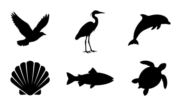 Black Silhouette Icons: Bird, Heron, Dolphin, Shell, Fish, Turtle Vector Set
