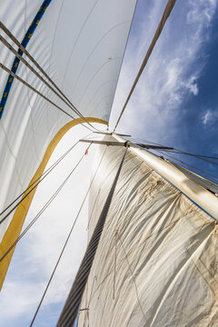 Sailboat mast and sails against a bright sky