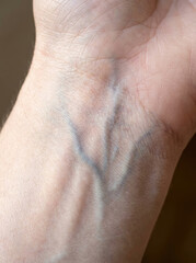 Fototapeta premium Blue vein network on wrist, showcasing intricate patterns and textures