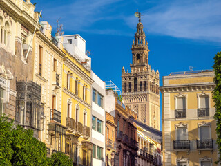 Fototapeta premium Streets of the old town of Seville with the iconic Giralda bell tower of the Cathedral in the background, Seville, Andalusia, Spain