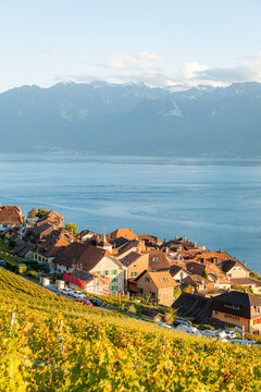 Sunlit vineyard village above Lake Geneva in Switzerland