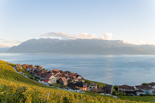 Lake Geneva vineyard village panorama with alpine horizon