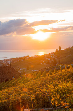 Sunset over Lake Geneva vineyards and hillside village