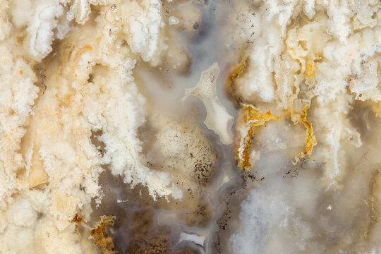 Plume agate, closeup