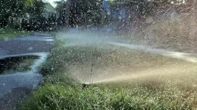 Sprinkler in Park Spraying Water on Lush Green Grass Irrigating and Watering Lawn