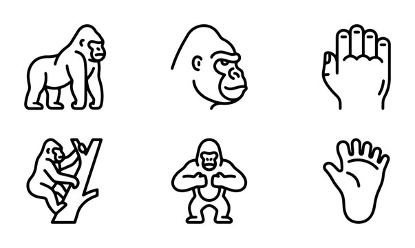 Gorilla Icons Set, Primate Vector Graphics, Ape Illustrations, Animal Line Art, Wildlife Symbols