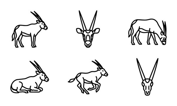 Oryx Antelope Vector Icons Set: Wildlife, Safari Animals, African Fauna, Line Art Collection